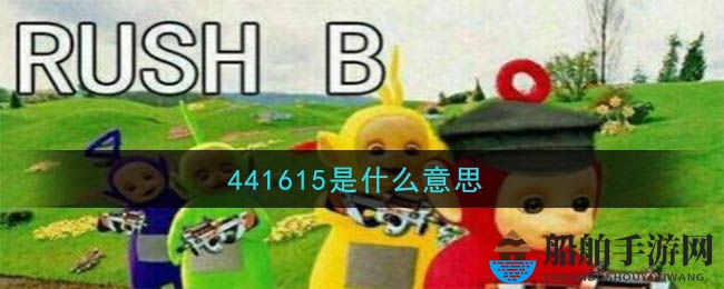 441615是什么意思