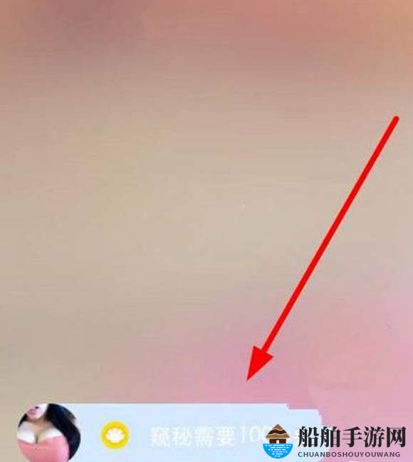 《窥秘》APP使用说明介绍
