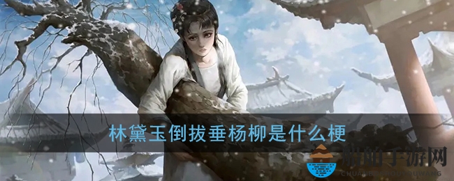 揭秘“林黛玉倒拔垂杨柳”梗